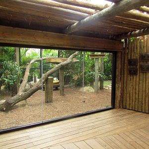 Jaguar Exhibit Expansion