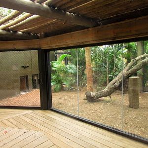 Jaguar Exhibit Expansion