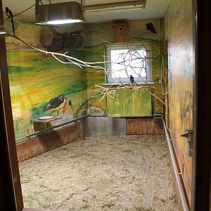 Indoor bird enclosure