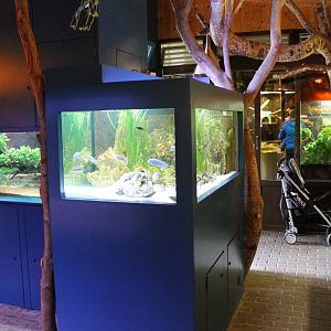 Inside Aquarium - Terrarium building
