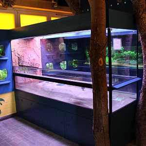 Aquariums