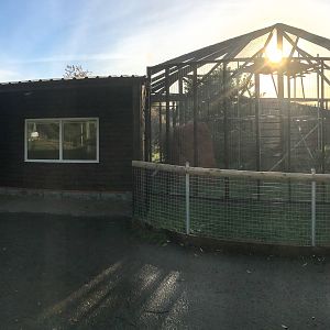 View (new exhibits, construction progress) : Hamerton : 13 Nov 2016