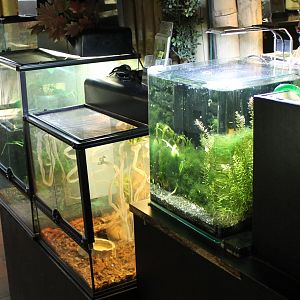 Enclosures