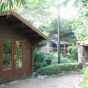Monkey-indoor and Vulture outdoor enclosure