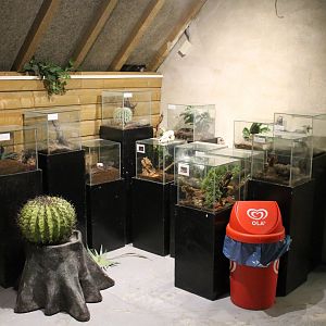Spider enclosures