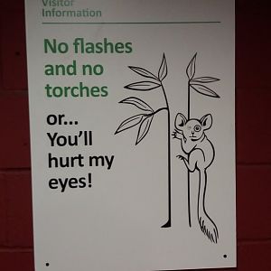 Clore Moonlight World sign 17/11/2016