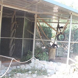 Enclosure Tayra