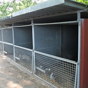 Rabbit-stables