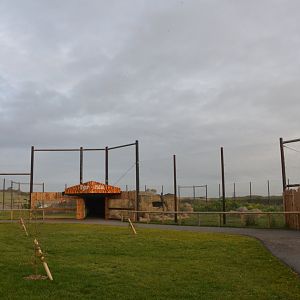 Malayan Tiger Enclosure at Hamerton, 19/11/16