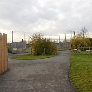 Tiger Complex View at Hamerton, 19/11/16