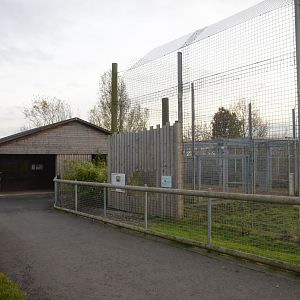 Tiger Complex at Hamerton, 19/11/16