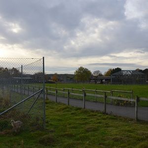 General View at Hamerton, 19/11/16