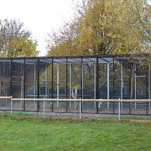 New Enclosure Construction at Hamerton, 19/11/16