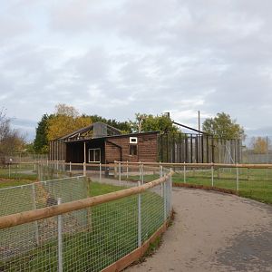 New Enclosure Construction at Hamerton, 19/11/16
