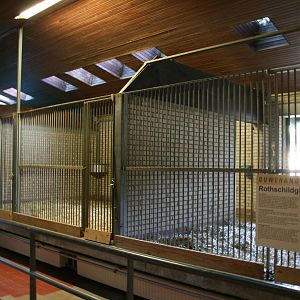 Ostrich stables