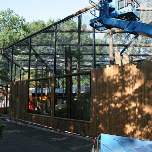 Clouded leopard enclosure under constuction