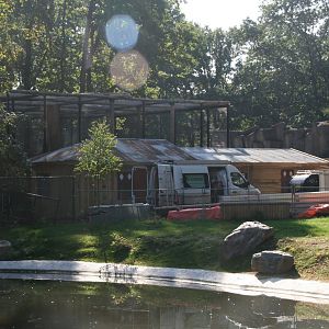 Clouded leopard enclosure