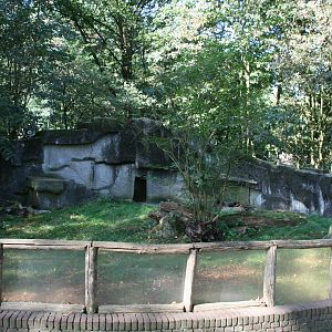 Indian crested porcupine enclosure