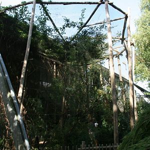 Squirrel monkey enclosure