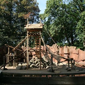 New climbing frame in the Barbary macaque enclosure