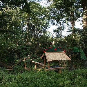 Chinese themed foodstand in the Red panda enclosure