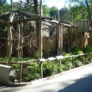 Gibbon enclosure