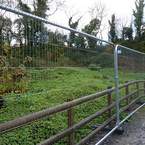 Future Takin enclosure, November 2016