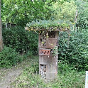 Insect hotel