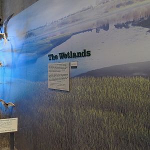 Interior - Exhibit Hall