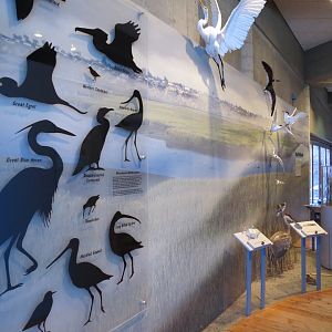 Interior - Exhibit Hall