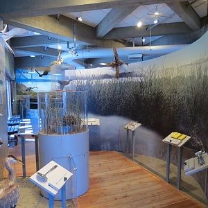 Interior - Exhibit Hall