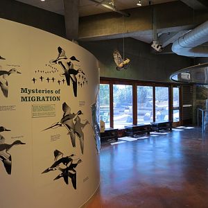 Interior - Exhibit Hall