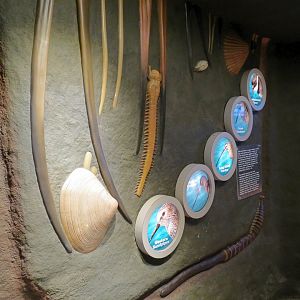 Interior - Exhibit Hall