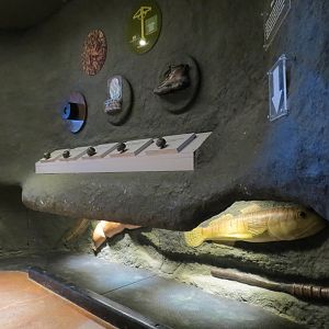 Interior - Exhibit Hall