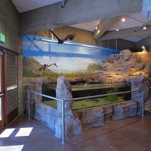 Interior - Exhibit Hall