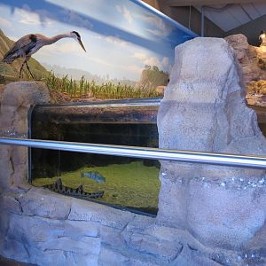 Interior - Exhibit Hall