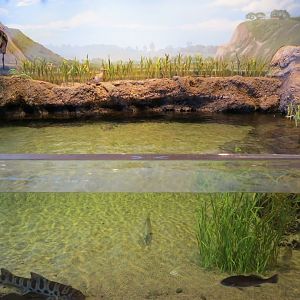 Interior - Exhibit Hall
