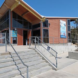 Gift and Book Store - Exterior