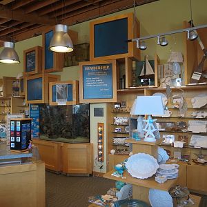 Gift and Book Store - Interior