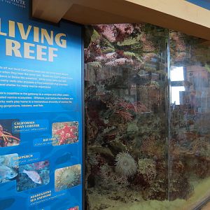 Gift and Book Store - Interior Live Exhibit