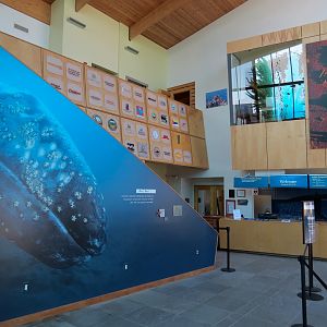 Ocean Education Center - Lobby