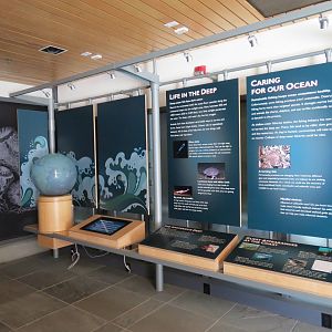 Ocean Education Center -  Exhibits