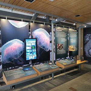 Ocean Education Center -  Exhibits