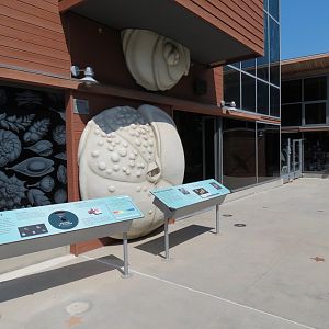 Ocean Education Center - Exterior