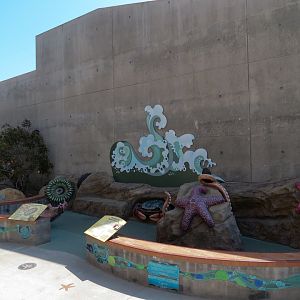 At Sea Building - Exterior Playground