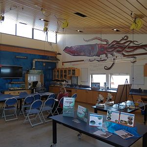 At Sea Building - Classroom