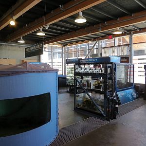 At Sea Building - Live Exhibits