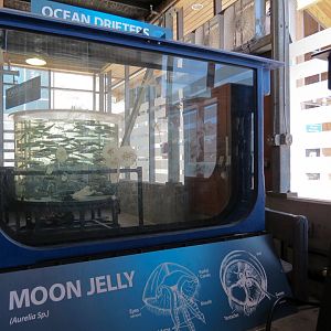 At Sea Building - Live Exhibits