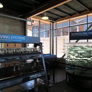 At Sea Building - Live Exhibits