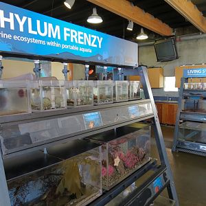 At Sea Building - Live Exhibits